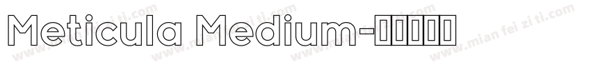 Meticula Medium字体转换